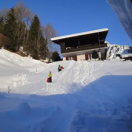 Engi Apt. 3 For Up To 8 People アパート グリンデルヴァルト