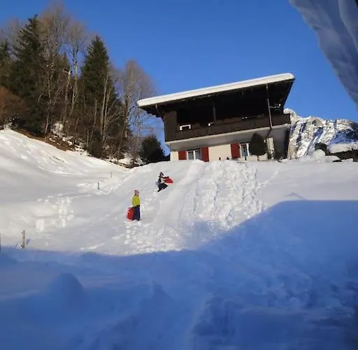 Engi Apt. 3 For Up To 8 People Daire Grindelwald