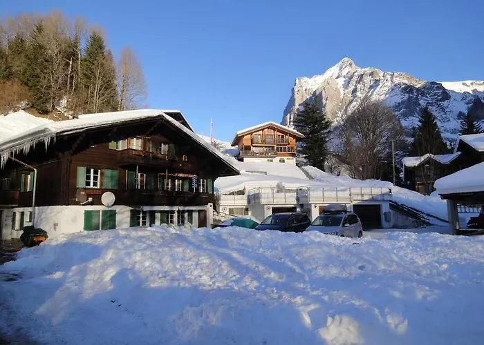 Daire Engi Apt. 3 For Up To 8 People Grindelwald